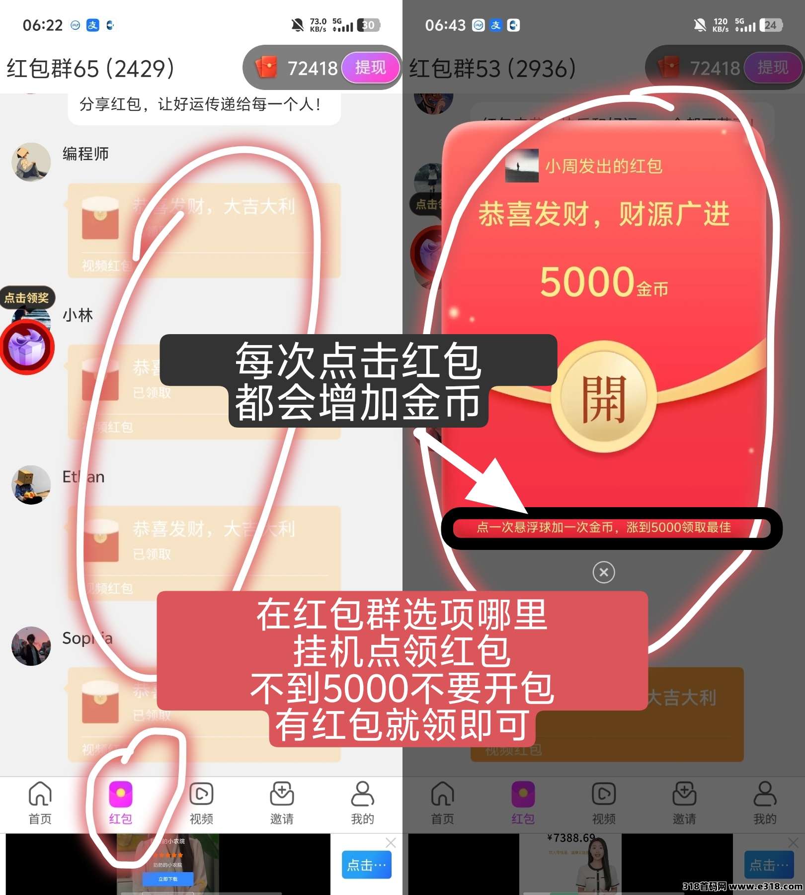 大智界，零撸不养鸡