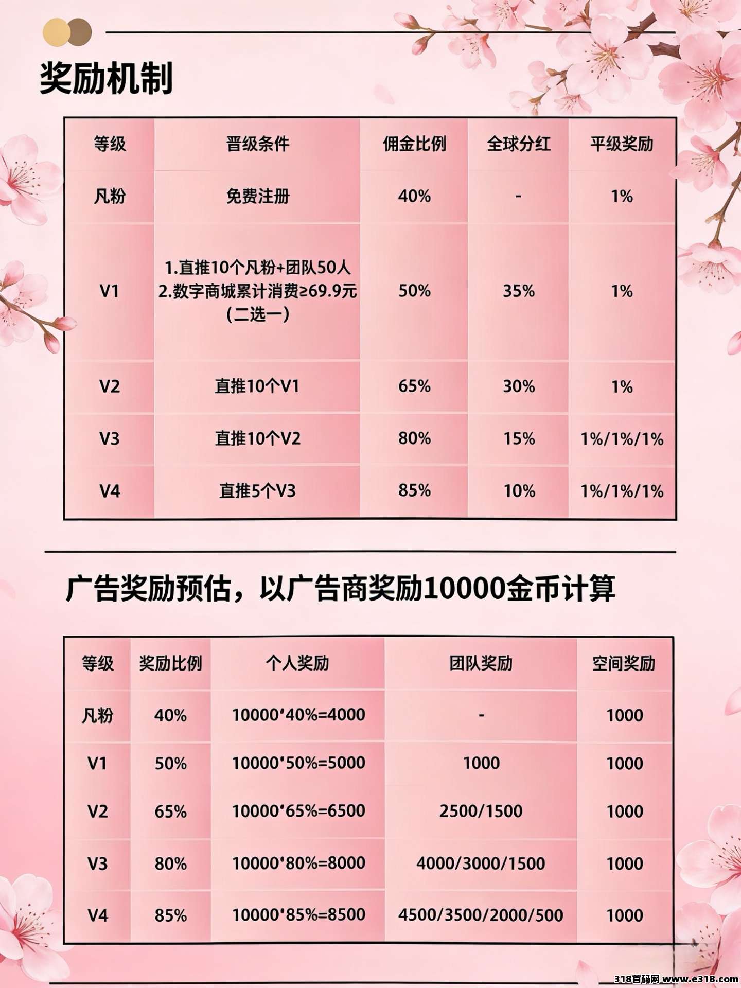 小凡不凡新板块预热火爆上线，独家首发