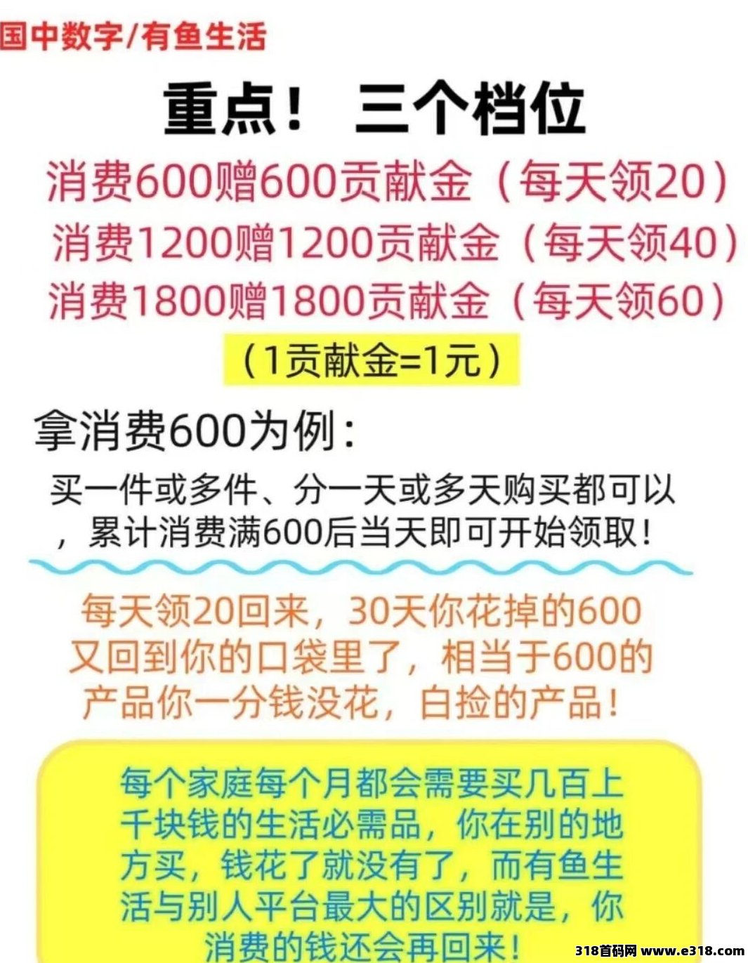 《有鱼生活》新人玩法，两件商品