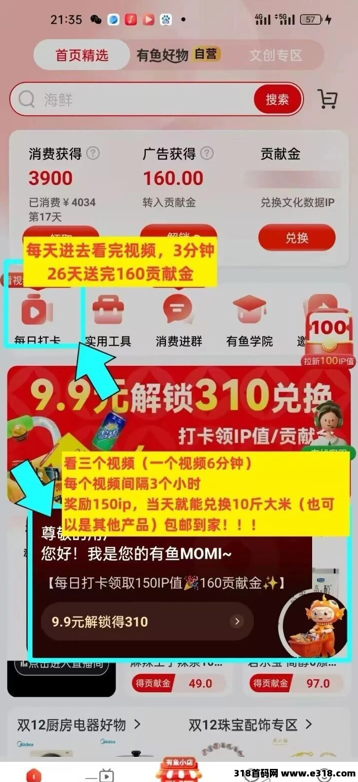 《有鱼生活》新人玩法，两件商品